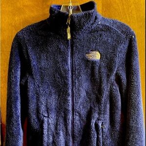 The North Face vivid Royal Blue Fleece Flash dry Jacket Size XS